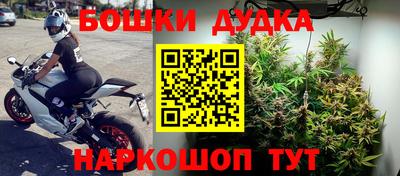 индика Коммунар