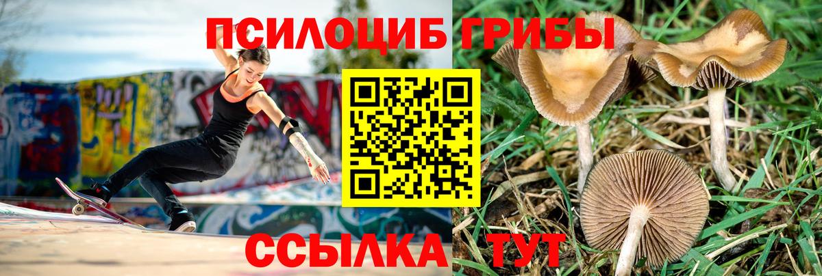 Псилоцибиновые грибы мухоморы Кизляр