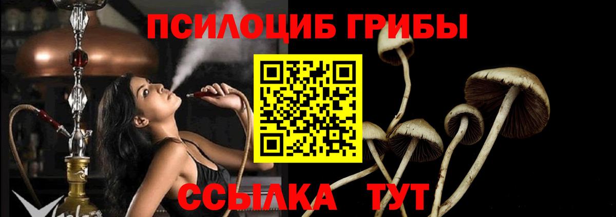 Псилоцибиновые грибы Psilocybine cubensis  Галлюциногенные грибы Magic Shrooms  Кизляр  Вход с VPN 